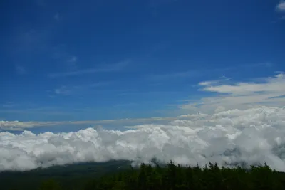 DSC_3658 (Large).JPG